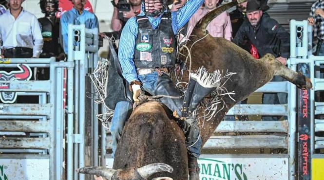 tanar campion rodeo ucis taur