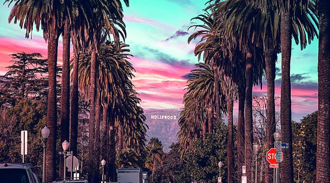 vize america autoritati suspendare