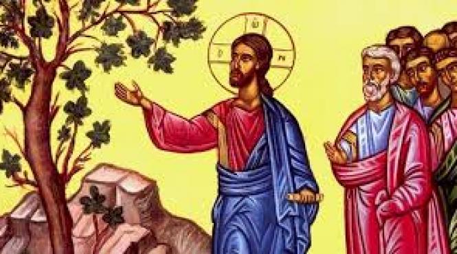 pilda smochinului neroditor ipocrizia amanarea lipsa sens lectie hristos blestem