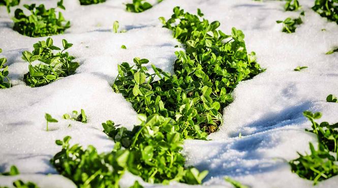 agricultori bani fond rezerva uniunea europeana