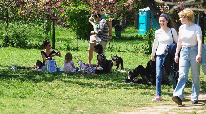 zile libere sarbatoare legala