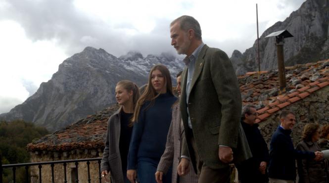 rege spania consiliu pana