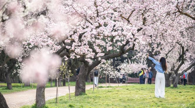 temperaturi mai mari cele specifice perioadei urmatoarele doua saptamani