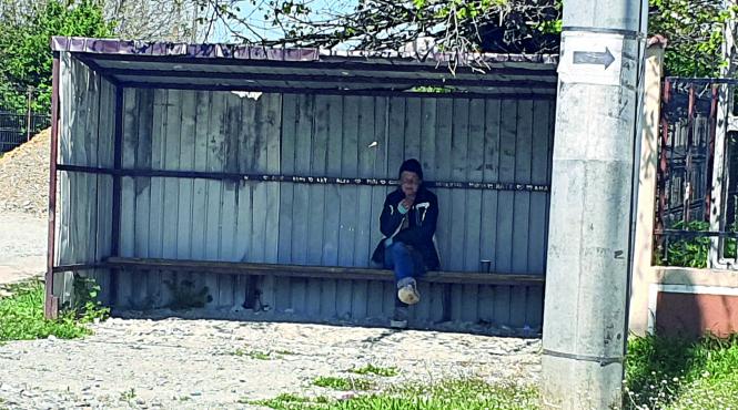 presedinte sondaje rasuceni saraci