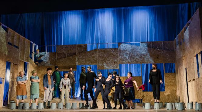 teatrul schaubuhne din berlin si spectacole nominalizate la premiile uniter in luna mai la arcub