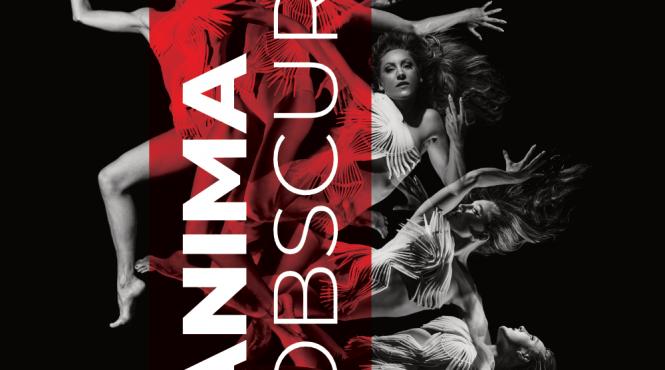 o noua editie a intalnirilor jti scapino ballet din rotterdam pentru prima data in romania