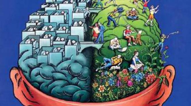 creier emisfera stanga emisfera dreapta