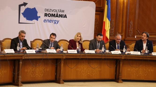 dezvoltam romania energy green deal vs smart deal