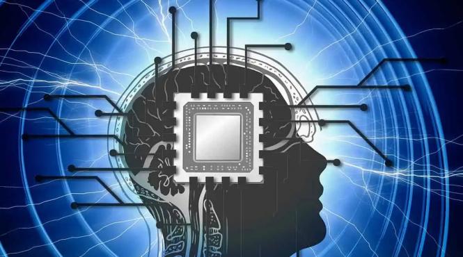 mit psihologie creier