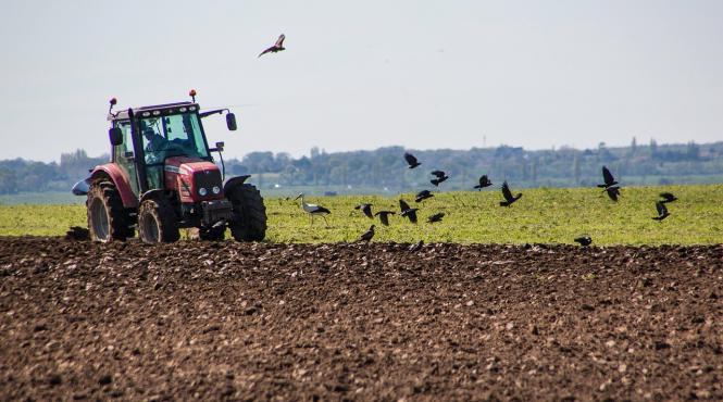performanta agricultura fermieri