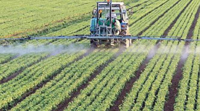 piata produs fitosanitar contrafac