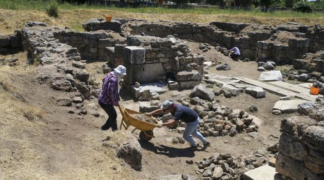 arheologii francezi descoperire trunchi fosilizat vechi 28 milioane ani