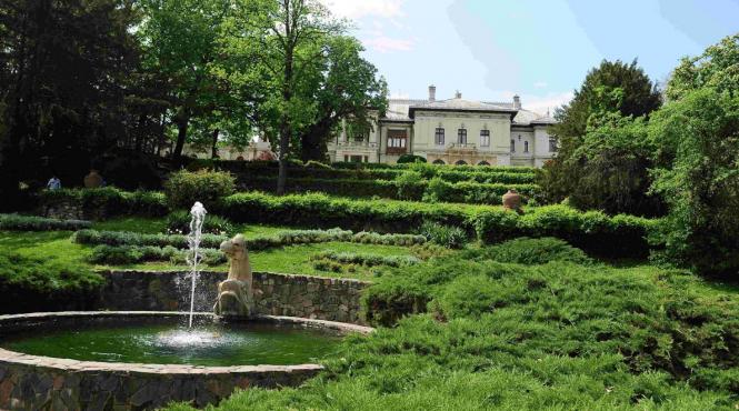 bolojan achizitii vase licitatie investirie