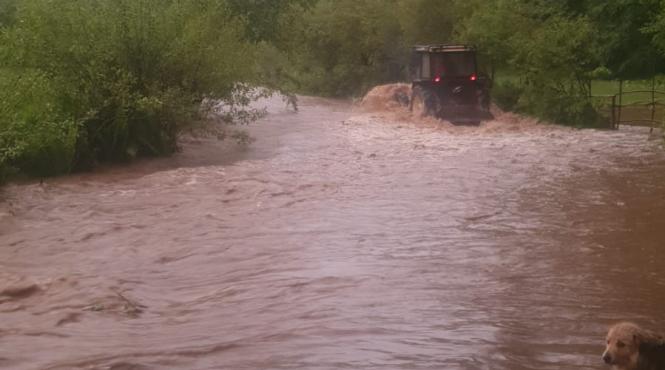 cod rosu inundatii