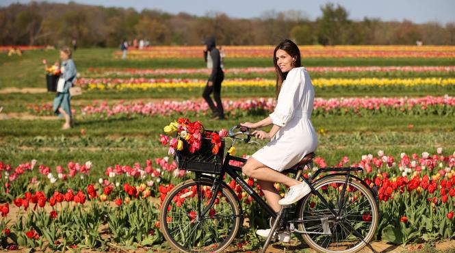 top 7 zile norocoase ramase in 2025 pentru cariera relatii si bani