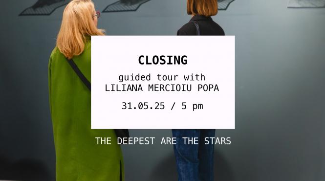 cele mai recente lucrari ale lilianei mercioiu popa in cadrul expozitiei the deepest are the stars