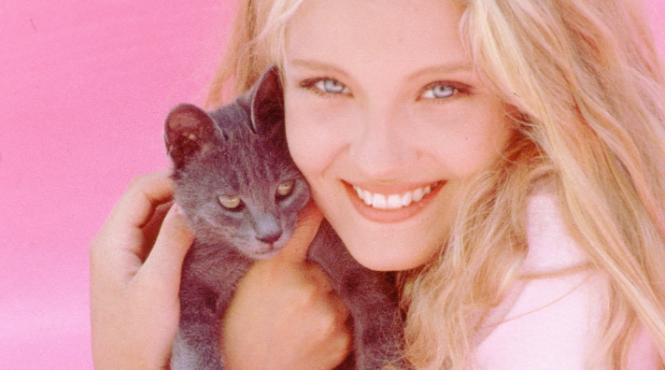 nu te poti ascunde de pisica ta te recunoaste dupa miros