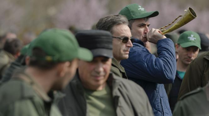 padurari camere video hotii lemne