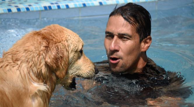 caine disparut intors acasa inotat 160 kilometri