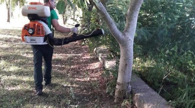 capitala tratament tantari capuse parcuri