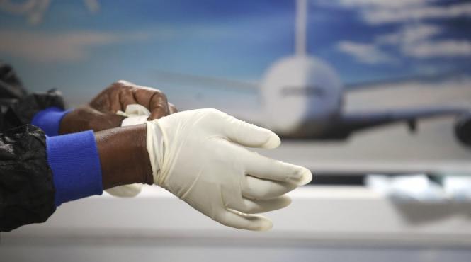 4 solutii naturale impotriva insectelor invadeaza locuinte sezonul cald