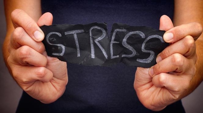 stres factori emotii griji