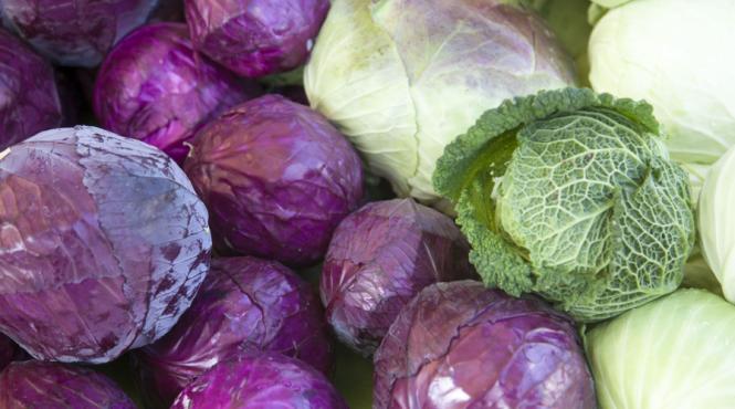 varza regina dietelor de vara cum te ajuta leguma minune sa slabesti rapid si sanatos