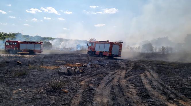 incendiu parc auto giurgiu
