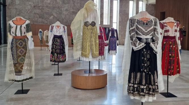 ziua universala iei arcub expozitia alai