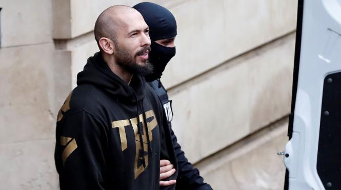 tristan tate ilfov alegeri