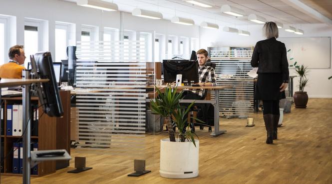 functionari publici statut privilegii