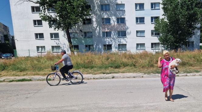 pantera neagra ghetou istru