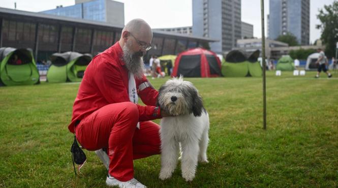 10 cele mai rare rase caini lume