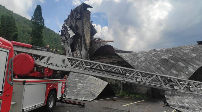sinaia copac persoane