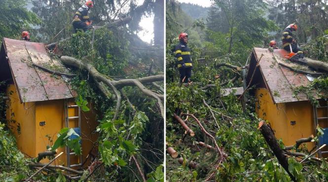 sinaia furtuna castelul peles interventii bilant