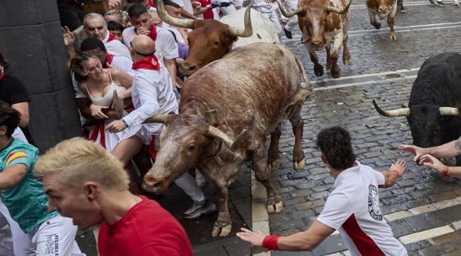 pamplona sub semnul taurilor o traditie sangeroasa veche de secole care continua sa faca victime