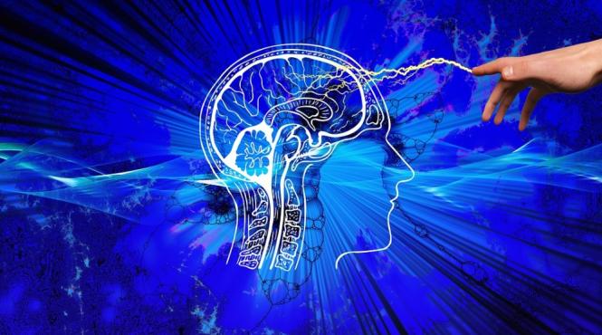 amintiri creier scenarii noradrenalina acetilcolina