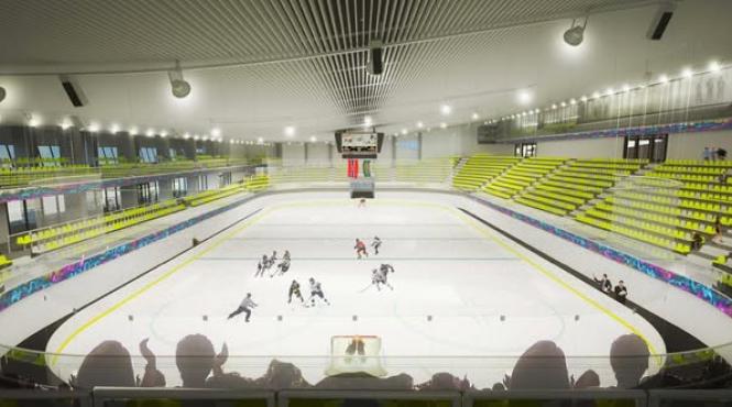 bucuresti patinoar stelian bujduveanu