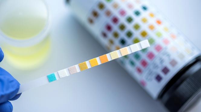 propunere parlamentari prafuri pastile