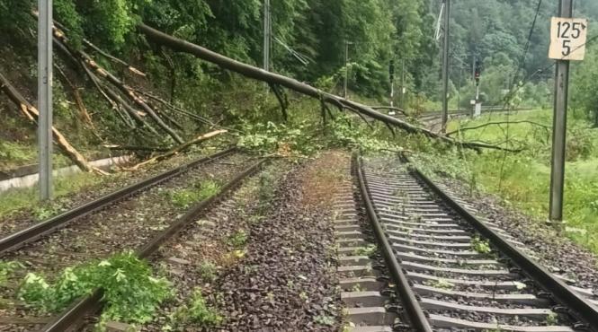 tren incident intarziere