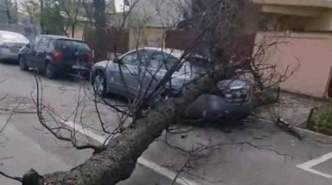 harghita vreme rea copaci cazuti fire electrice