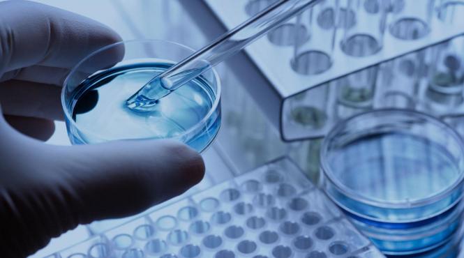 guvern bani copii nenascuti