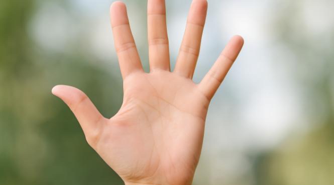 5 degete 5 obiceiuri tehnica zilnica pentru o viata mai fericita