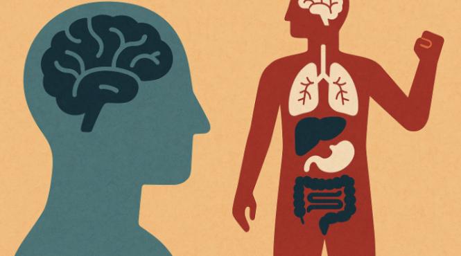 de ce corpul tau este mai inteligent decat creierul adevarul din spatele intuitiei