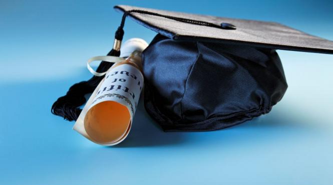 noua zeelanda dublare piata internationala educatie 2034