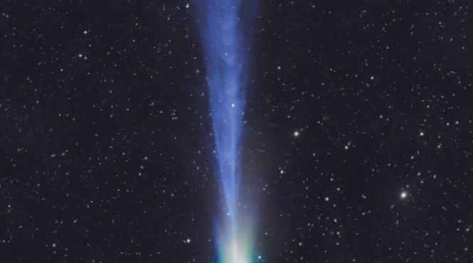 planeta pitica ammonite