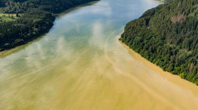 stare de alerta la izvorul muntelui bicaz gunoaie si animale moarte plutesc pe lac