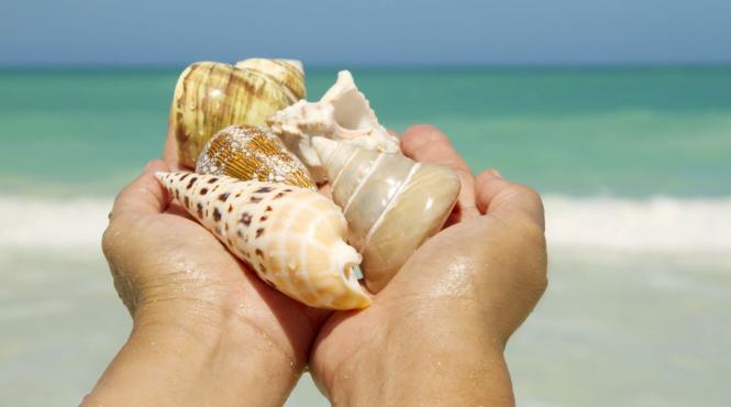 horoscop august 2025 revelatii spirituale nativii februarie august