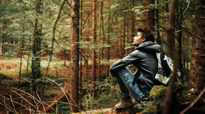 limite secrete efecte nicole vignola