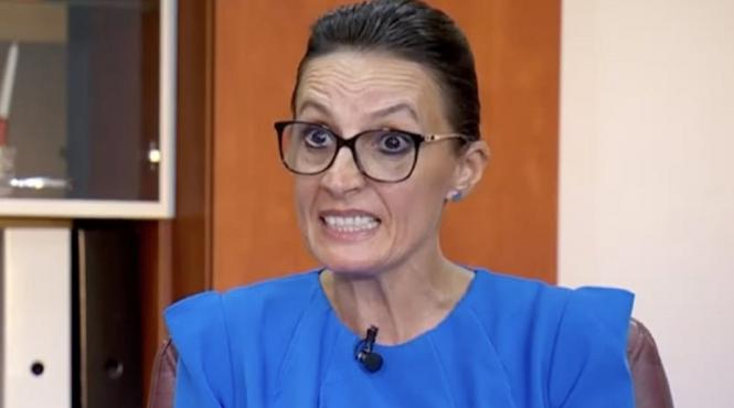 stelian ion declaratia sefei csm pensiile speciale scandaloasa